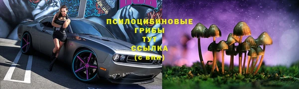 прущая мука Краснотурьинск