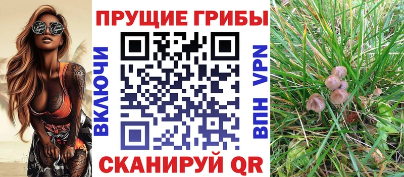 Галлюциногенные грибы Magic Shrooms  Купить  Грайворон 